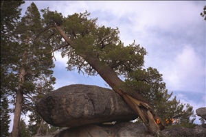 9400 1258 ct ca az family fujiIMG0097.jpg